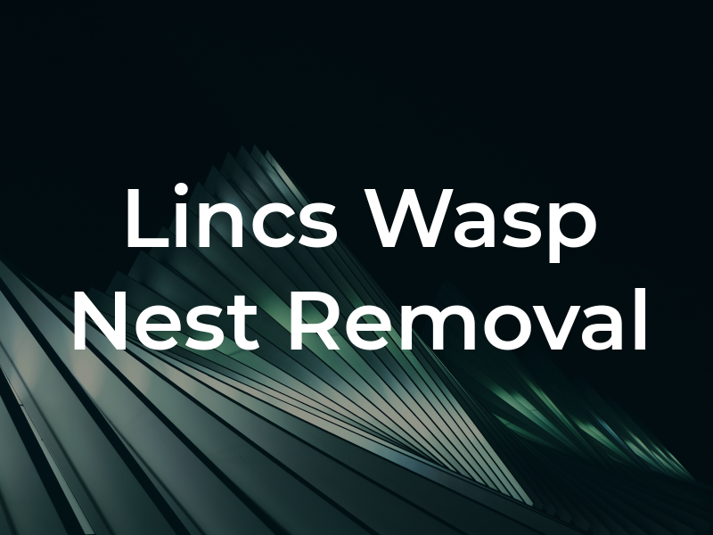 Lincs Wasp Nest Removal