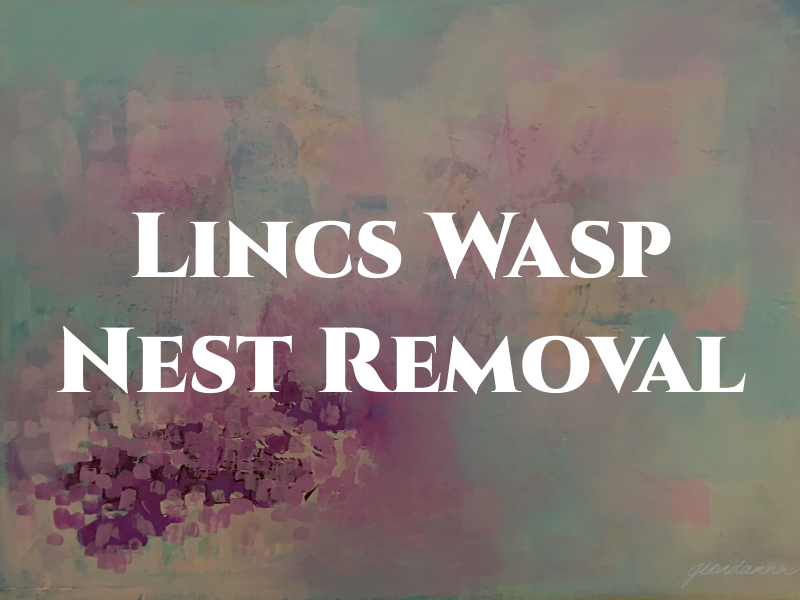 Lincs Wasp Nest Removal