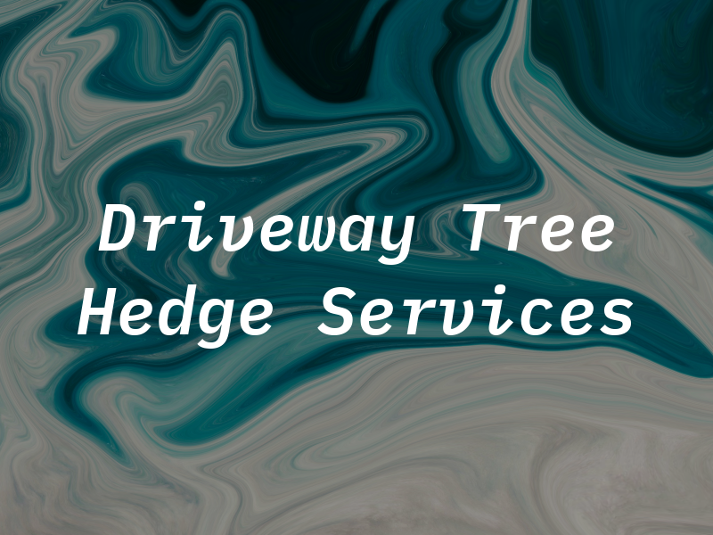P T A Driveway Tree & Hedge Services