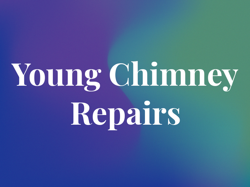 P Young Chimney Repairs