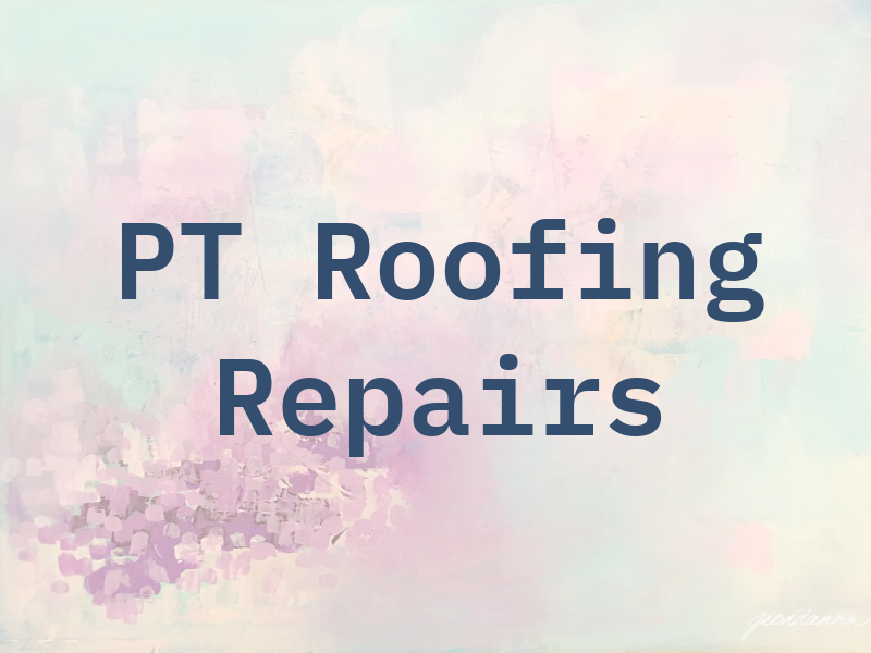 PT Roofing Repairs