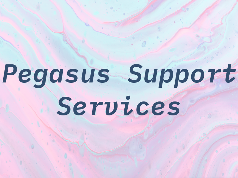 Pegasus Support Services Ltd
