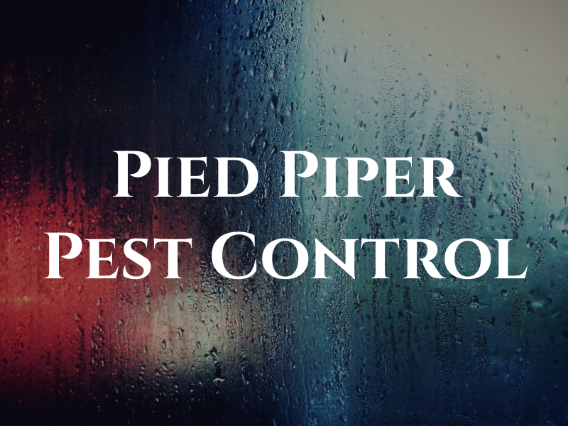 Pied Piper Pest Control