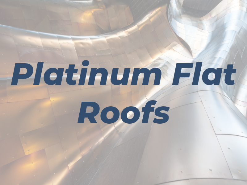 Platinum Flat Roofs