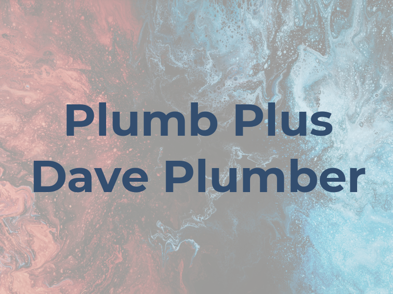 Plumb Plus ( Dave the Plumber )