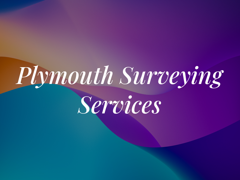 Plymouth Surveying Services Ltd