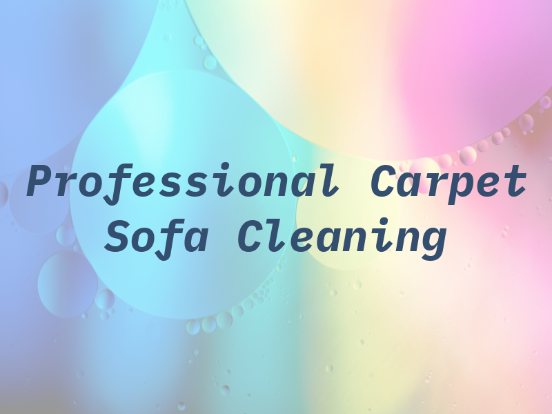Professional Carpet & Sofa Cleaning