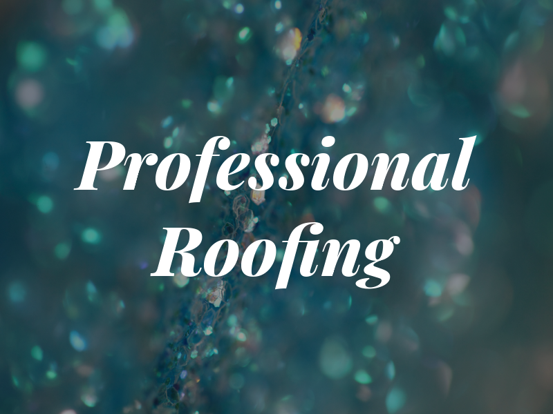 Professional Roofing
