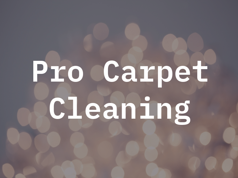 Pro Carpet Cleaning