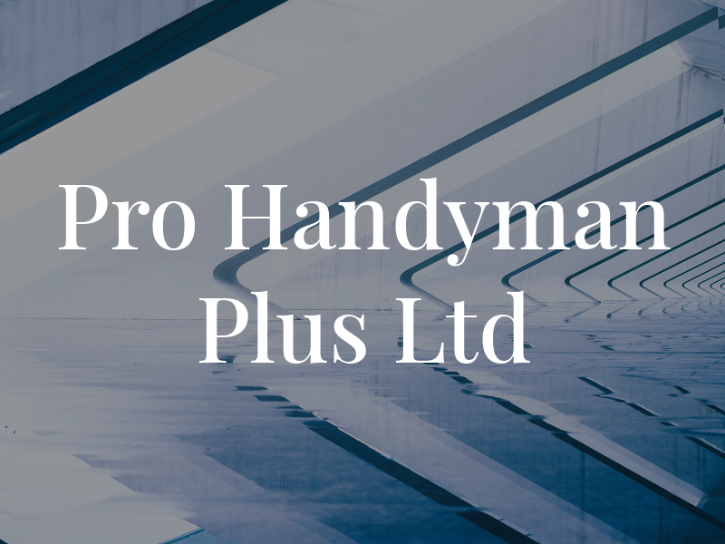 Pro Handyman Plus Ltd