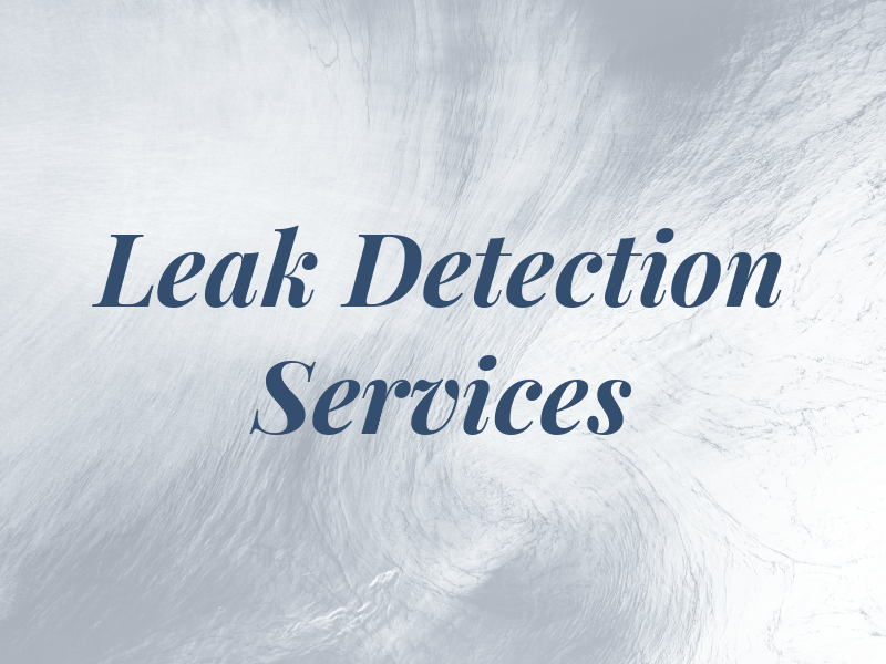 Pro Leak Detection Services