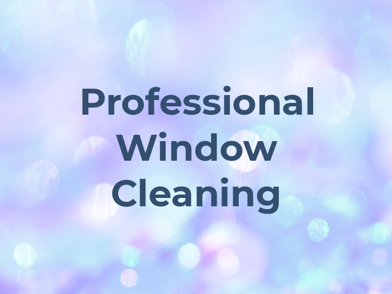 RH One Professional Window Cleaning