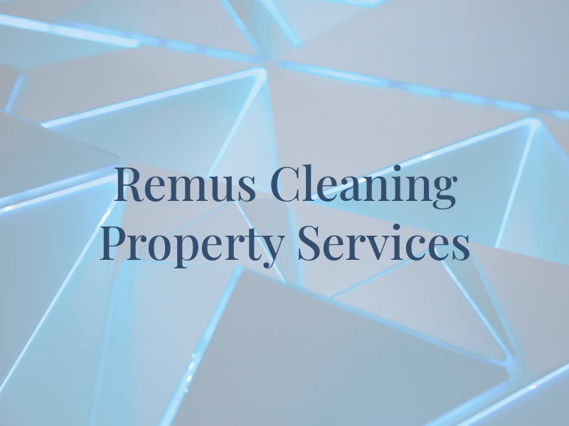 Remus Cleaning & Property Services