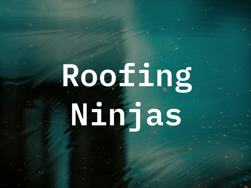 Roofing Ninjas