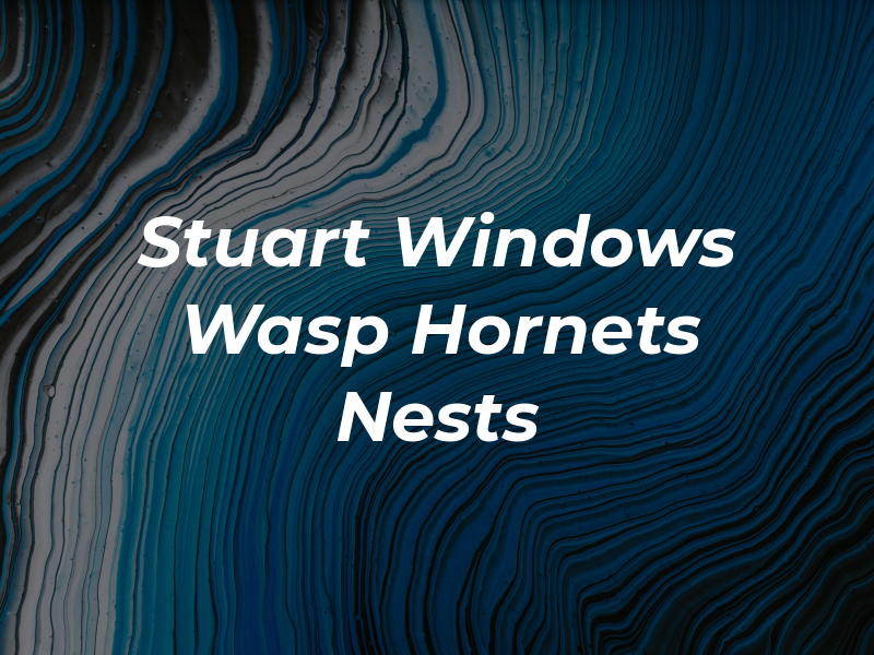 Stuart Windows and Wasp and Hornets Nests