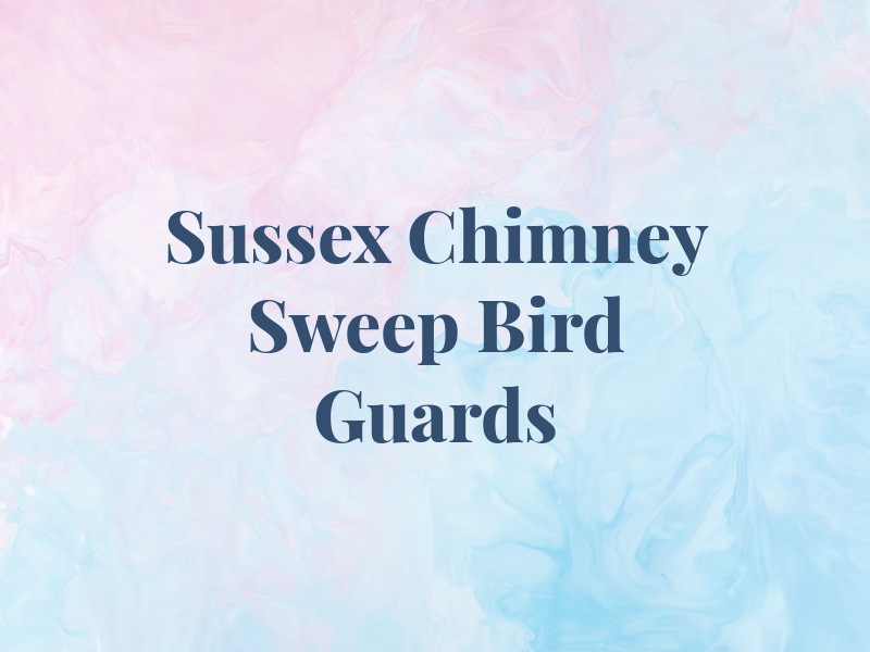 Sussex Chimney Sweep and Bird Guards