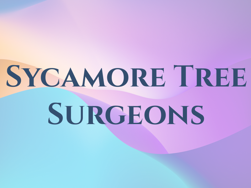 Sycamore Tree Surgeons