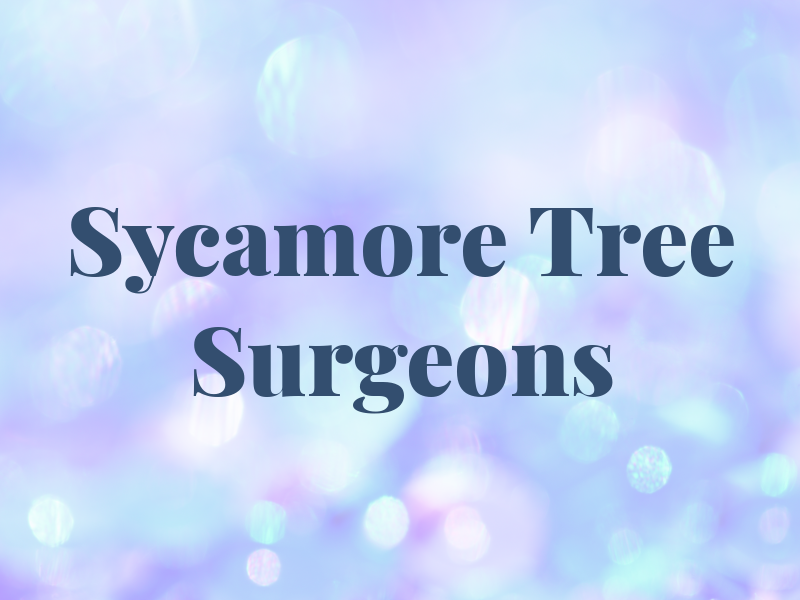 Sycamore Tree Surgeons