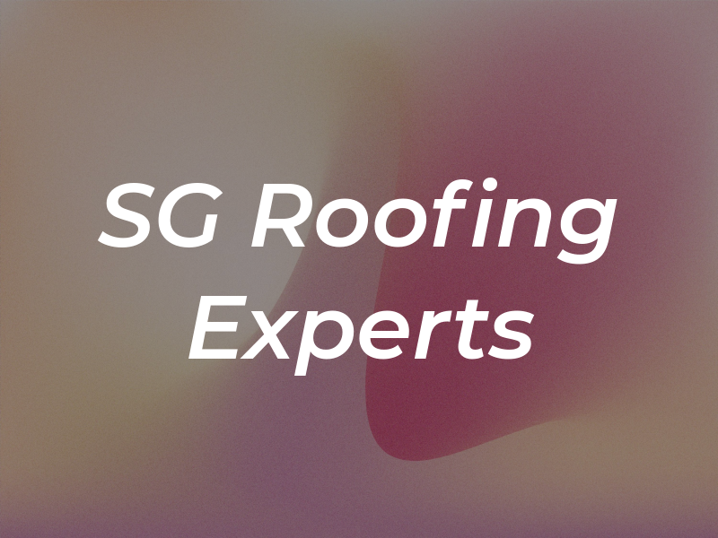 SG Roofing Experts