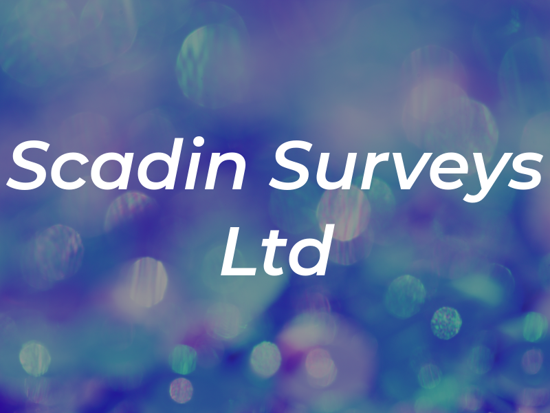 Scadin Surveys Ltd