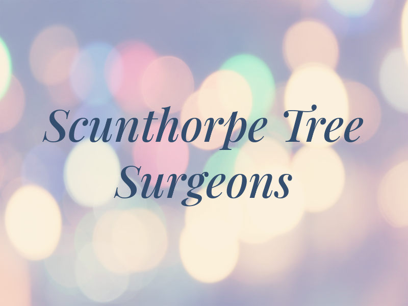 Scunthorpe Tree Surgeons