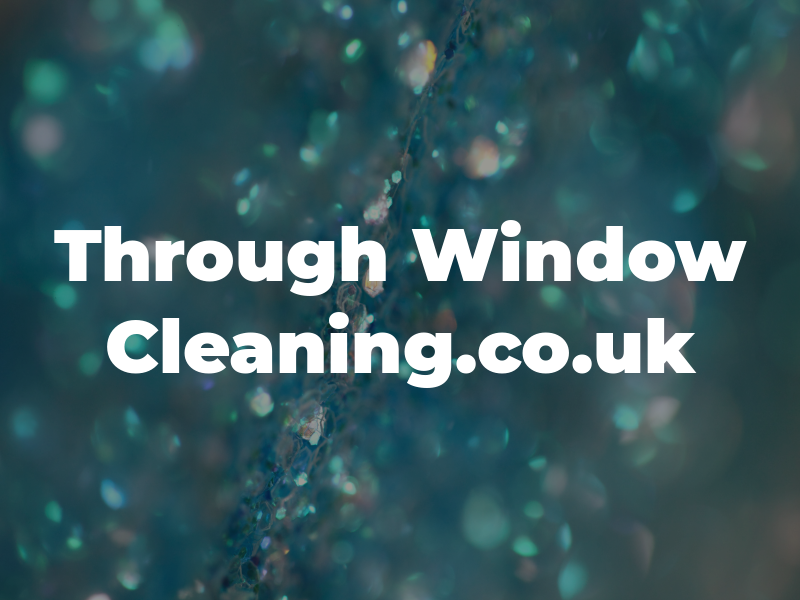 See Through Window Cleaning.co.uk