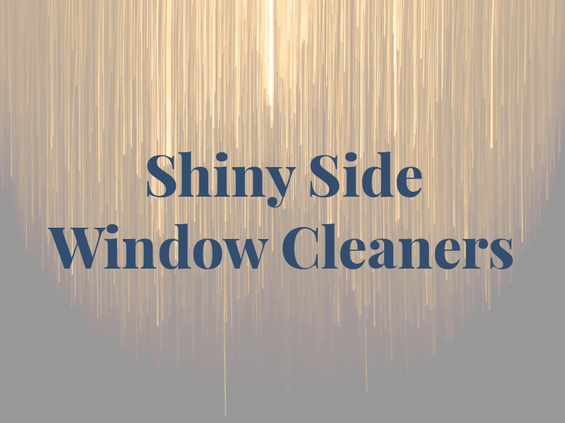 Shiny Side Window Cleaners