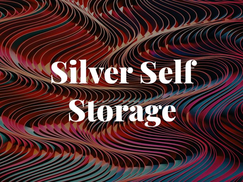 Silver Box Self Storage