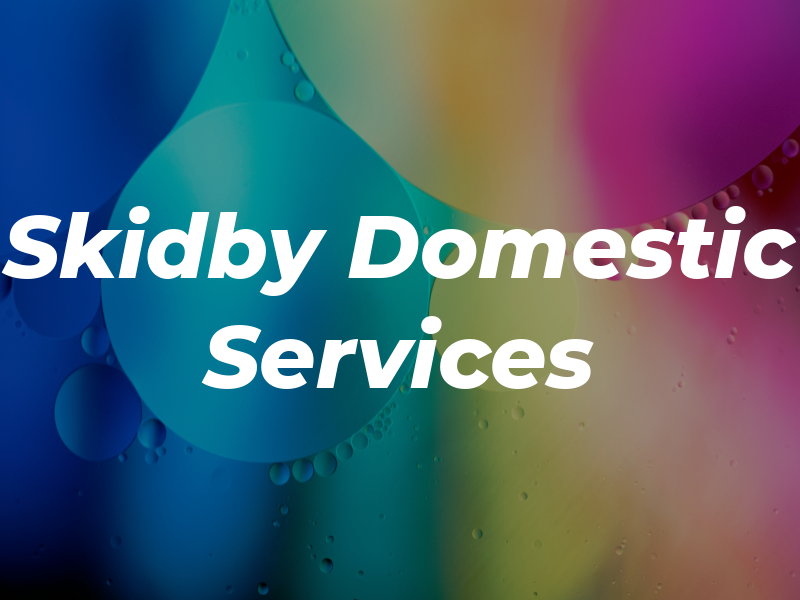Skidby Domestic Services
