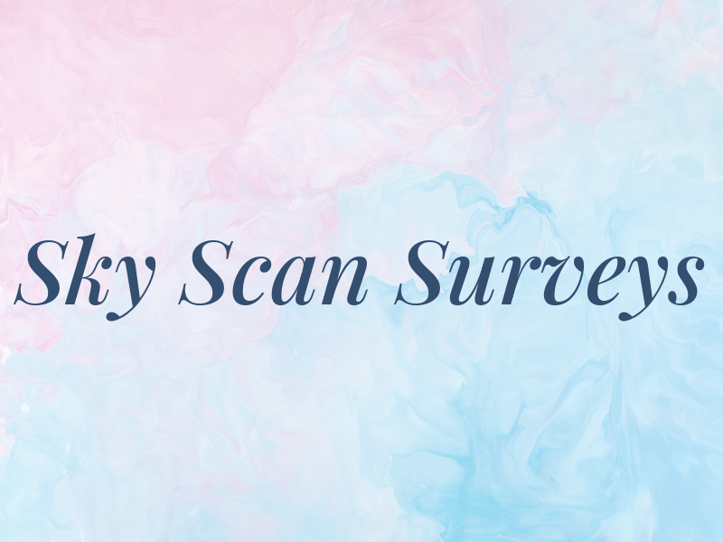 Sky Scan Surveys