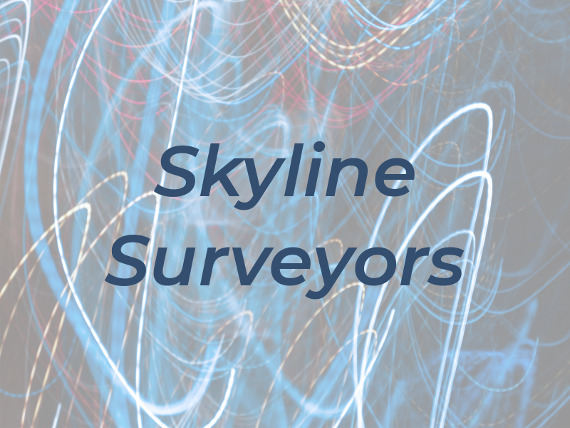 Skyline Surveyors
