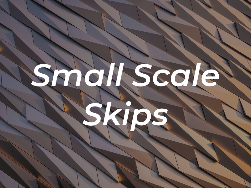 Small Scale Skips