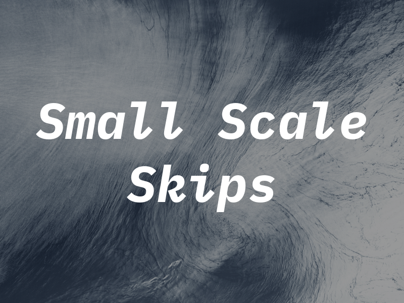 Small Scale Skips