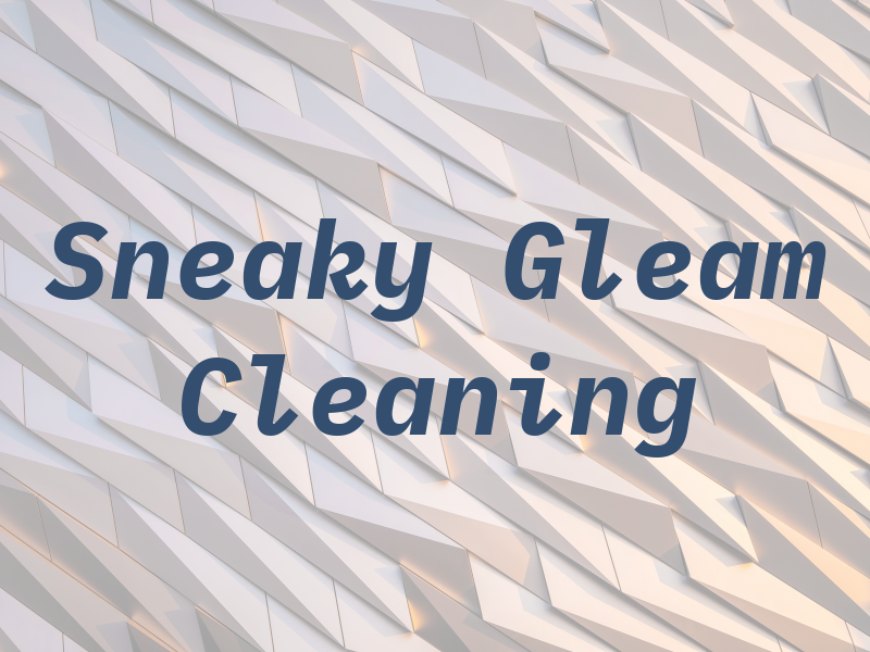 Sneaky Gleam Cleaning Ltd