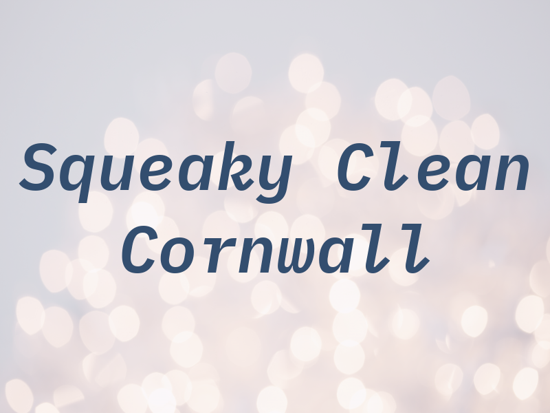 Squeaky Clean Cornwall