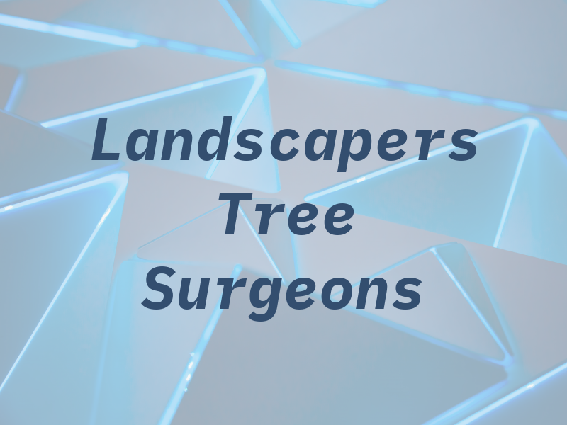 T & W Landscapers and Tree Surgeons