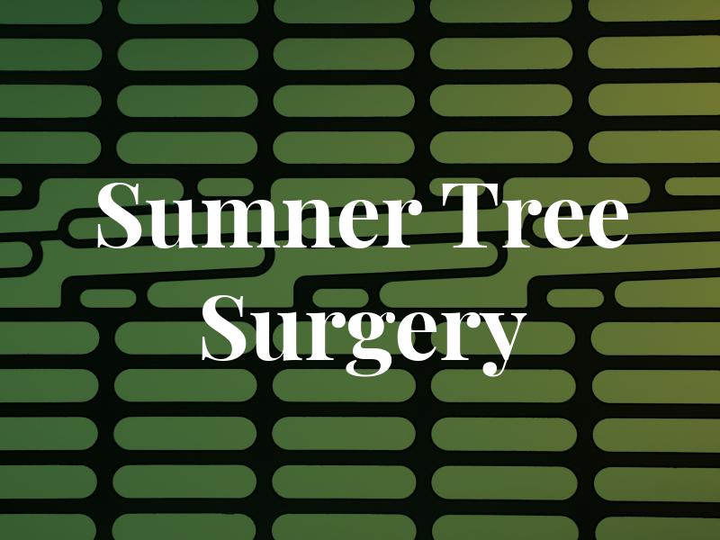 T Sumner Tree Surgery