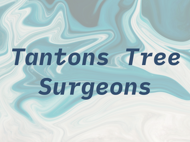 Tantons Tree Surgeons Ltd