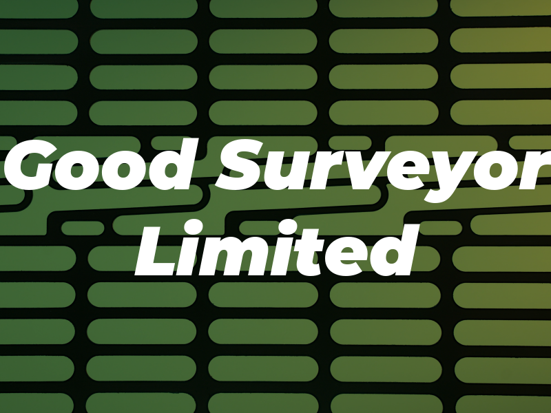 The Good Surveyor Limited