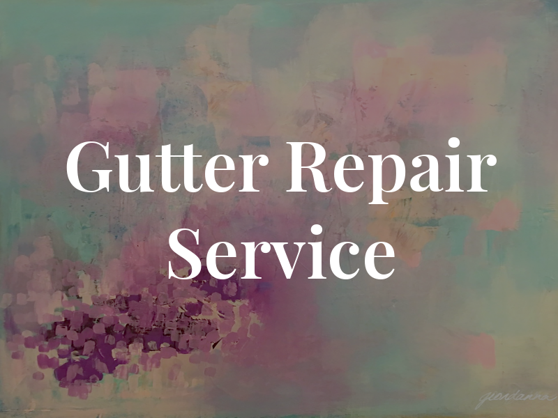 The Gutter Repair Service