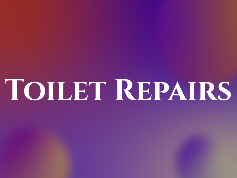 Toilet Repairs