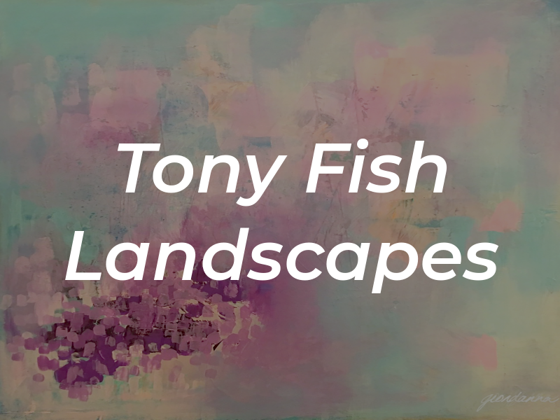 Tony Fish Landscapes