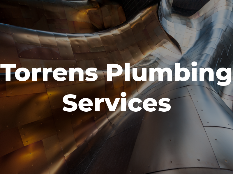 Torrens Plumbing Services