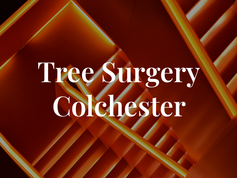 Tree Surgery in Colchester