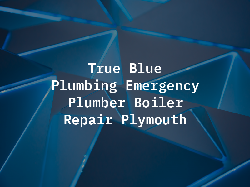 True Blue Plumbing Emergency Plumber / Boiler Repair Plymouth
