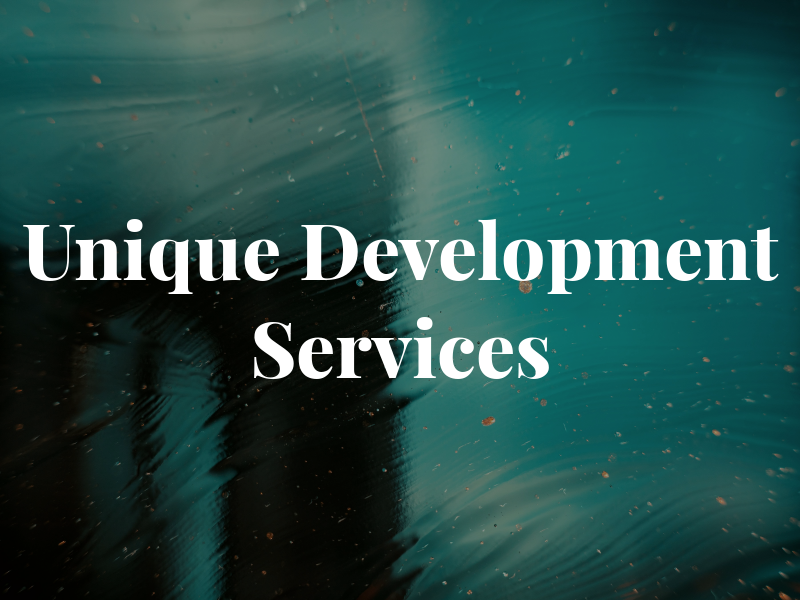 Unique Development Services Ltd