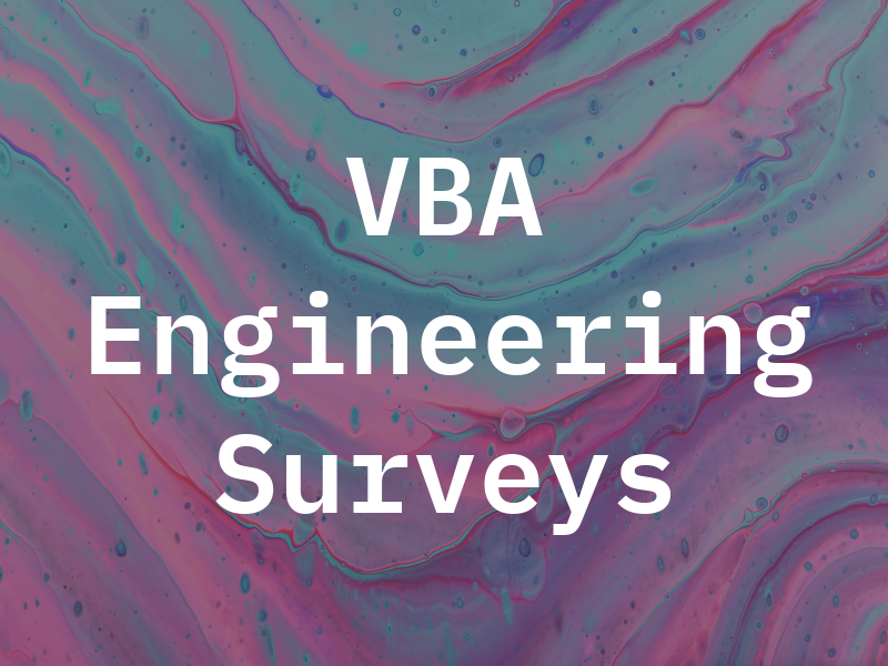 VBA Engineering Surveys
