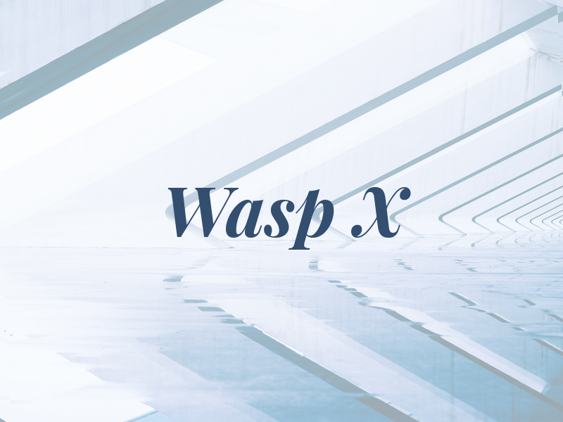 Wasp X