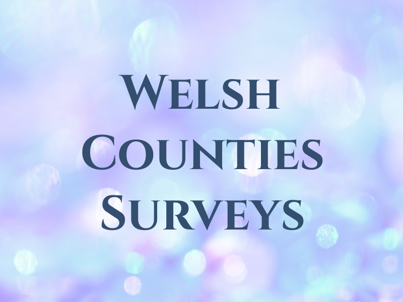 Welsh Counties Surveys Ltd