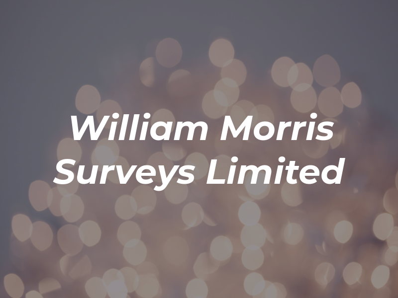 William Morris Surveys Limited